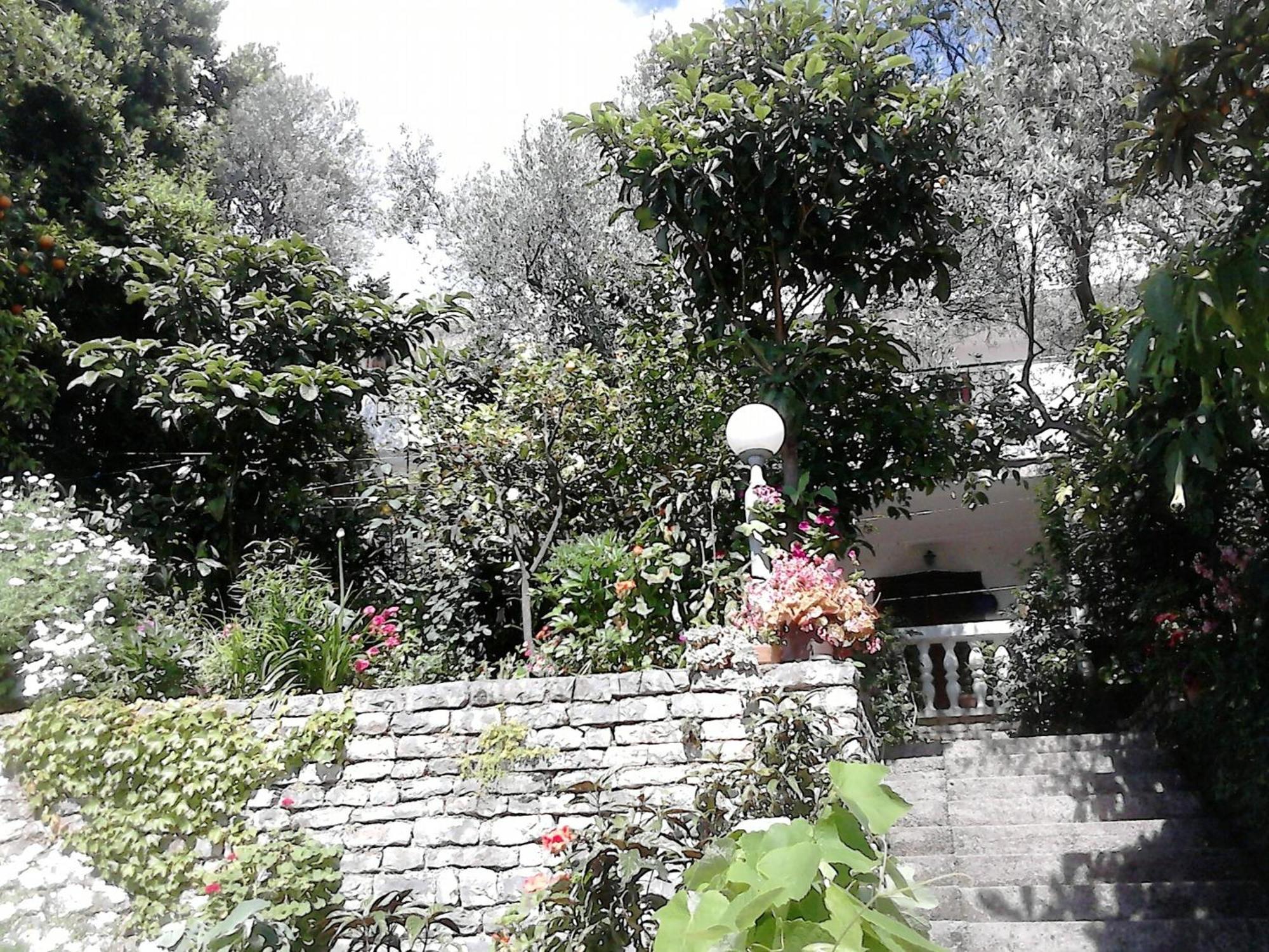 Oaza Guest House Sveti Stefan Exterior photo