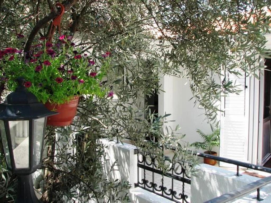 Oaza Guest House Sveti Stefan Exterior photo